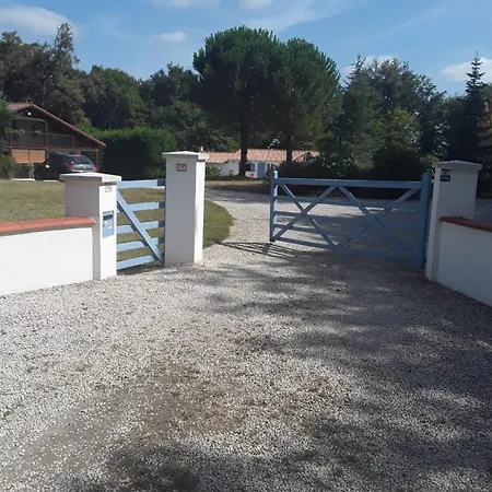 Des Petites Fadettes 