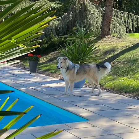 別荘 Des Petites Fadettes 