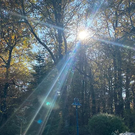 Des Petites Fadettes 