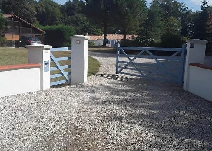 Des Petites Fadettes 