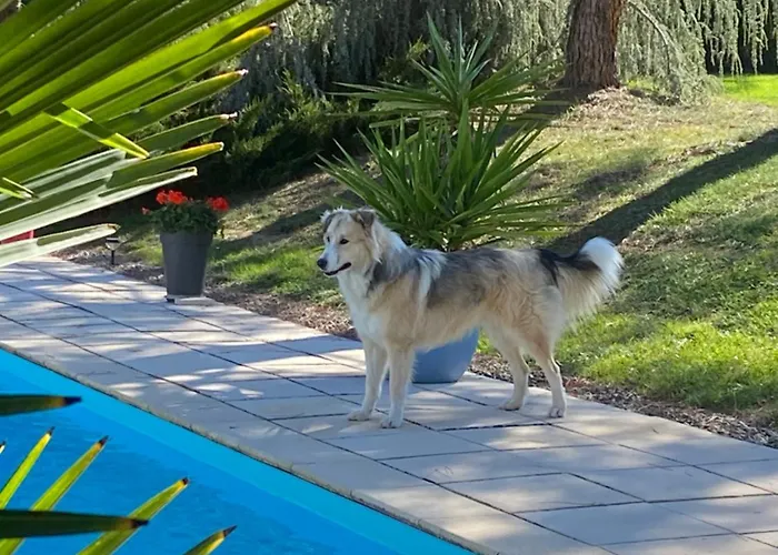 Hébergement de vacances Des Petites Fadettes Ondine