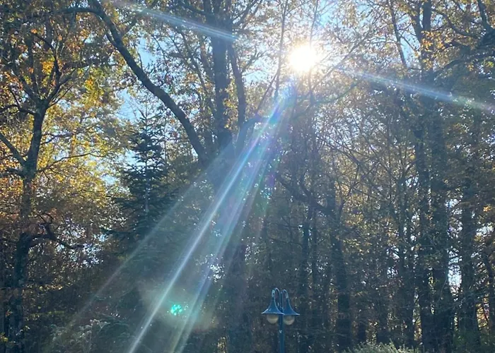 Des Petites Fadettes 